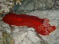 Unter_Wasser (7)